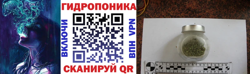 Наркотические вещества Медногорск А ПВП  ГАШИШ  Галлюциногенные грибы  Cocaine  Марихуана 