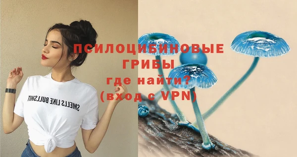 метадон Богородицк