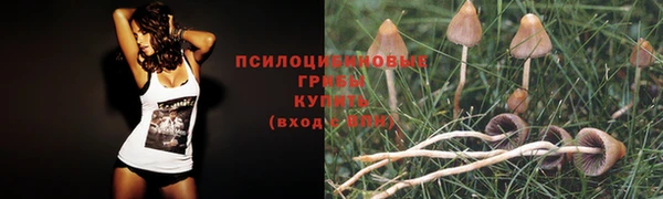 метадон Богородицк
