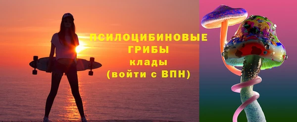 метадон Богородицк