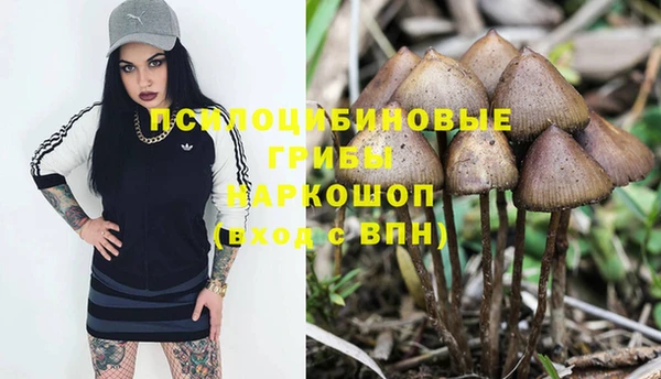 метадон Богданович