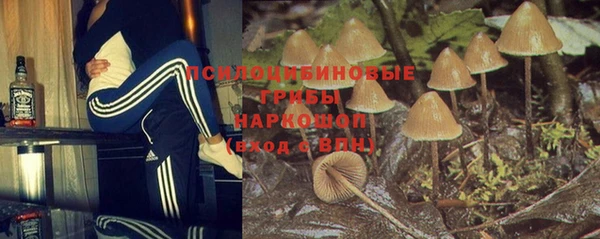спиды Богородск