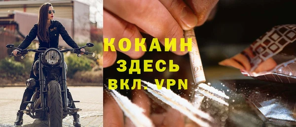 спиды Богородск