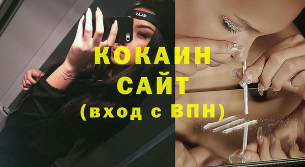 метадон Богданович