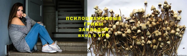 метадон Богданович